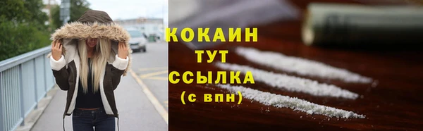 винт Абаза