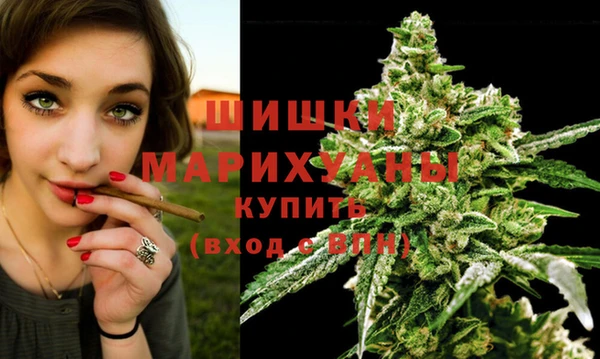 spice Абинск